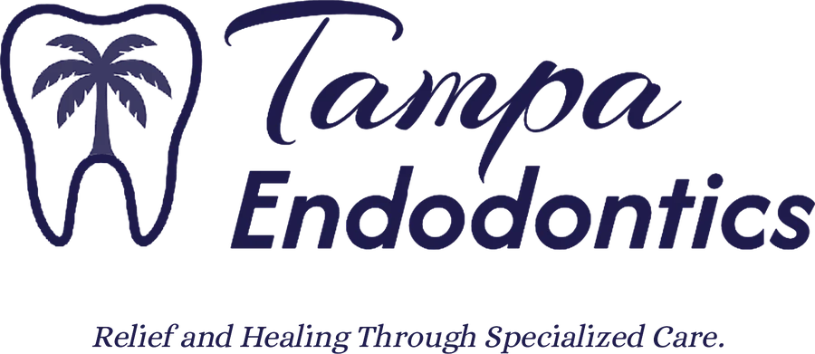 Tampa Endodontics